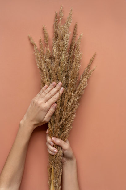 女性手用天然草修甲。图片下载