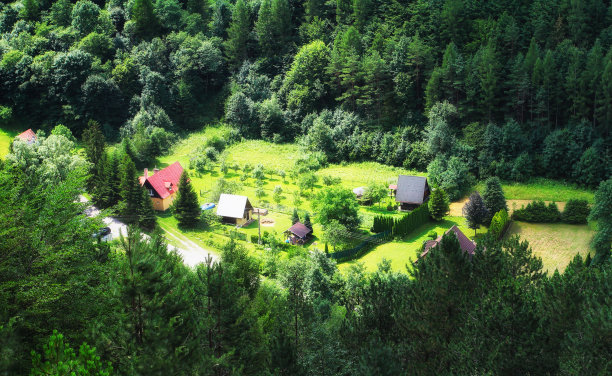 绿色的森林，草地，房子在中间图片下载