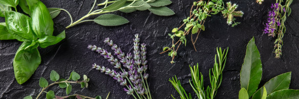 芳香的草药全景，从上面拍摄在一个黑色的背景图片下载