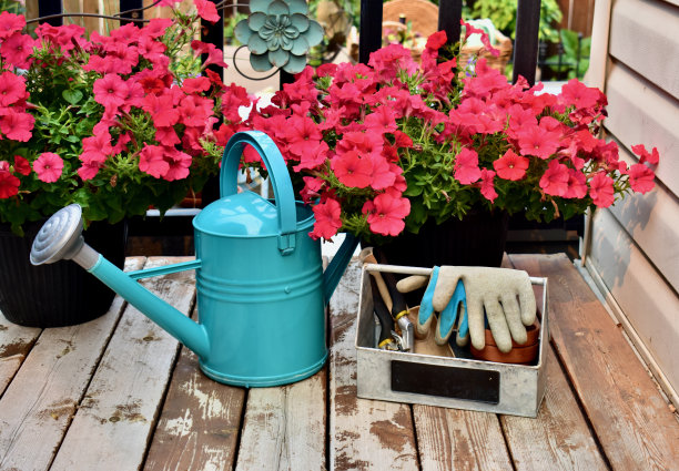 洒水罐和季节性的花卉花盆与华丽的夏季花朵和园艺工具。图片下载