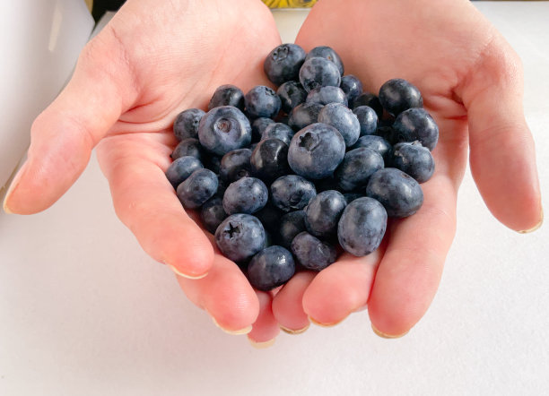 蓝莓照片。宏《哈克贝利·费恩。贝瑞手握女人。一把浆果。成熟的野生浆果图片下载
