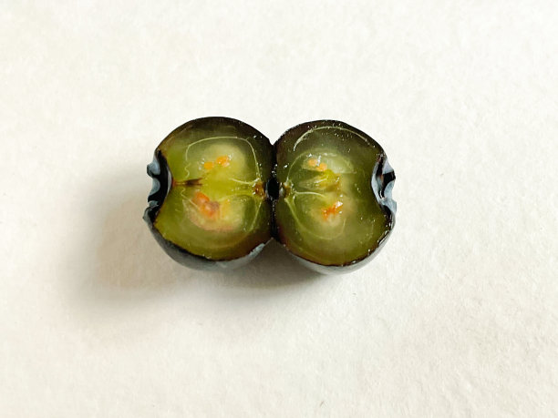 蓝莓照片。宏《哈克贝利·费恩。贝瑞背景。一把浆果。白色背景下的成熟野生浆果。片黑莓图片下载