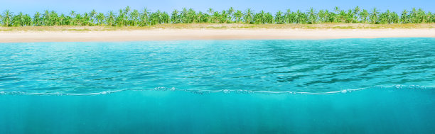 宽横向设计的热带背景图片下载