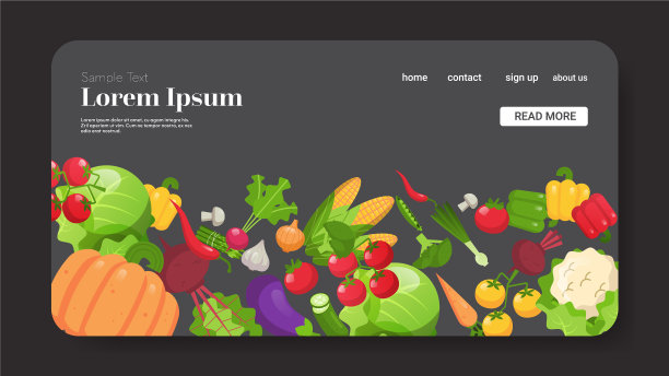 设置新鲜蔬菜组成健康食品图片下载