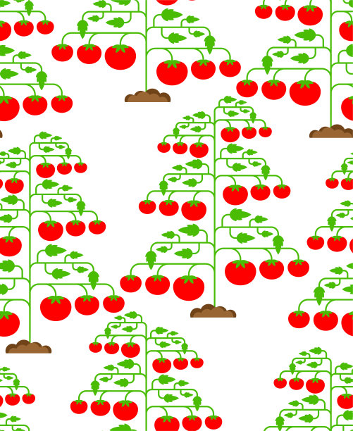 番茄灌木图案无缝。西红柿的背景。矢量纹理图片下载