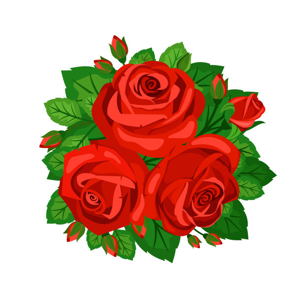 可爱的红玫瑰花束，花蕾美丽图片下载