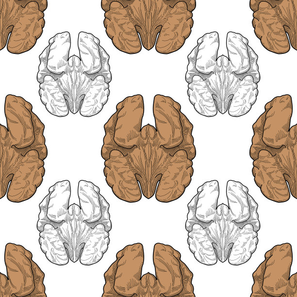 核桃零食无缝模式矢量食物维生素蛋白质图片下载