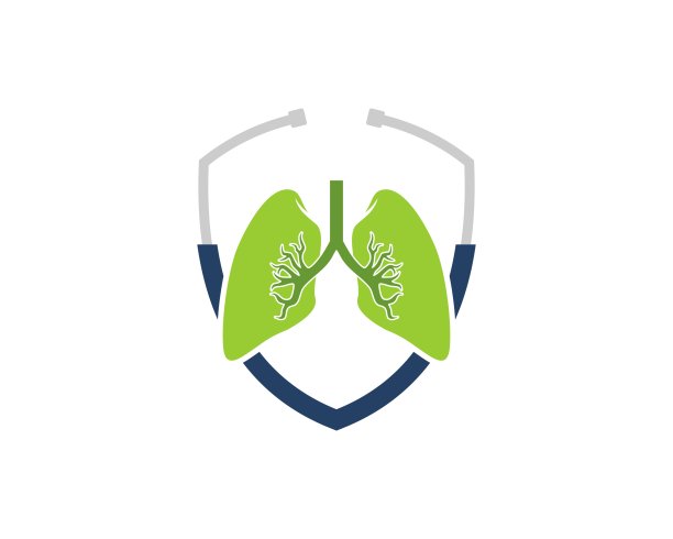 带听诊器的防护罩里面是健康的肺图片下载
