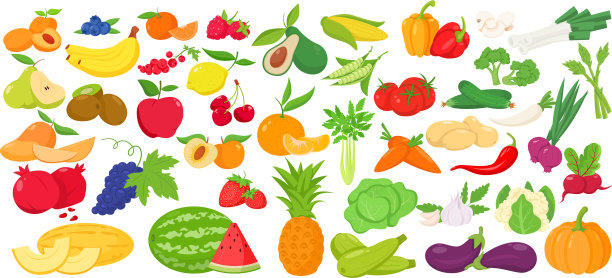 水果浆果和蔬菜颜色图标集图片下载