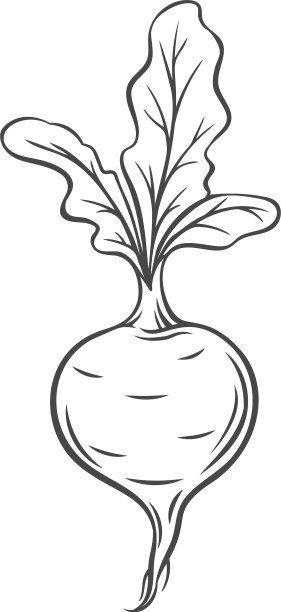 甜菜蔬菜轮廓图标图片下载