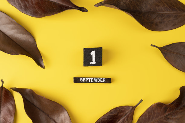 木历九月一日，枯黄的秋叶在黄色的背景上图片下载