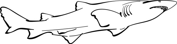 素描鲨鱼手画线性图片下载