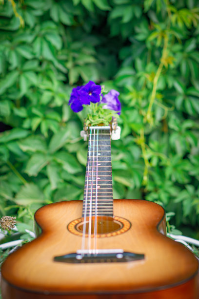 吉他与绿色植物背景上的蓝色花朵，选择性聚焦。图片下载