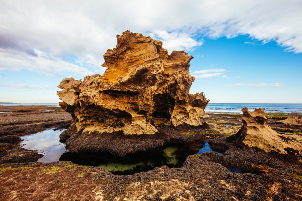 澳大利亚布莱尔高里的蒙弗茨海滩图片下载