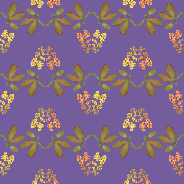 伏牛花。插图，花的纹理。连续复制的无缝模式。花卉背景，照片拼贴为纺织，棉花织物。墙纸，封面，打印图片下载