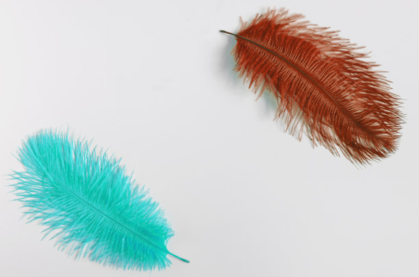 空金属购物篮和玻利维亚国旗上的彩色背景的概念消费篮图片下载