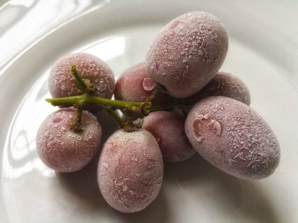 冰冻的葡萄图片下载