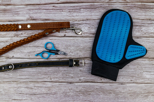 木制背景上的狗配件。蓝色橡胶美容手套，爪剪，棕色皮革皮带和尖刺项圈的狗在木制背景。前视图。宠物护理的概念图片下载