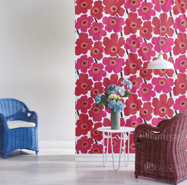 现代家居室内客厅和柳条扶手椅图片下载