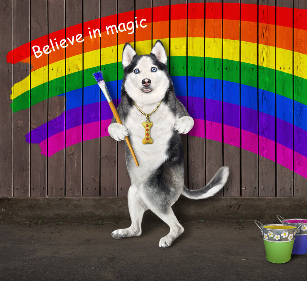 狗哈士奇在篱笆上画彩虹图片下载