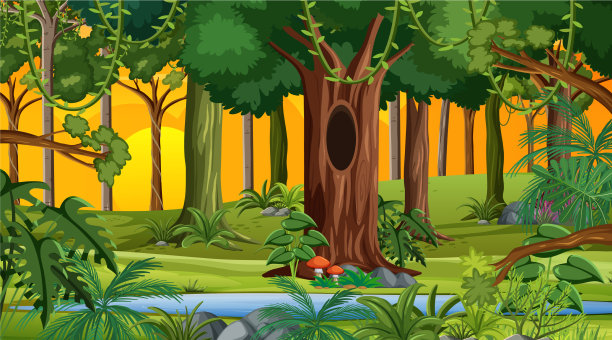 森林在日落时分的风景景象图片下载