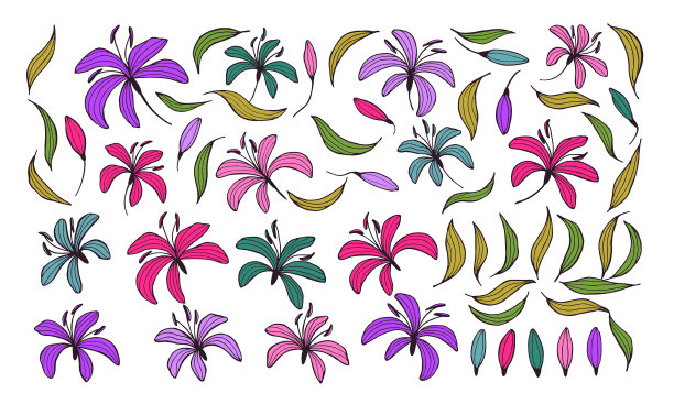 设置元素的设计-花图片下载