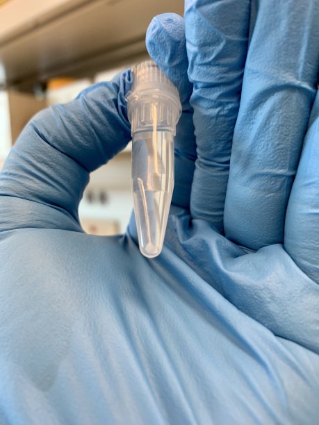 实验室的生活图片下载