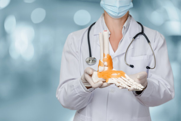 医生展示脚踝模型。图片下载