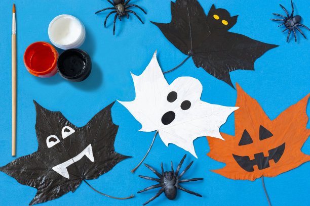 手工绘制的干燥的秋天枫叶。变体14图片下载