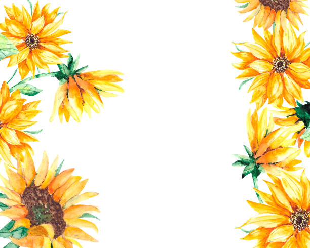 水彩画框架与黄色向日葵和绿色的叶子在白色的背景。一个明亮的植物组成的明信片，海报，邀请与文字的空间。图片下载