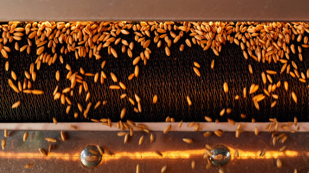 干燥和运输小麦谷物的机器图片下载