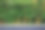 背景图片是黄色的竹子树干种植在黑色的柏油马路上。图片下载