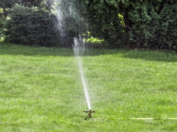 灌溉过程图片下载