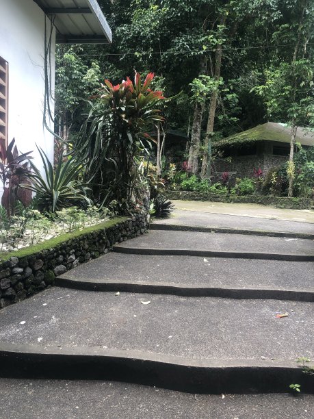 漫步大自然图片下载