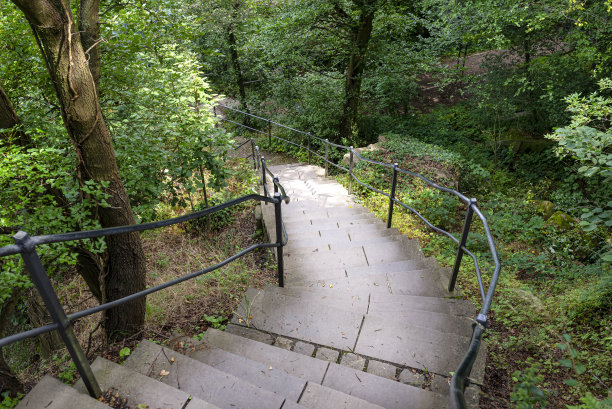 钢筋混凝土楼梯在茂密的森林里，往下走。图片下载