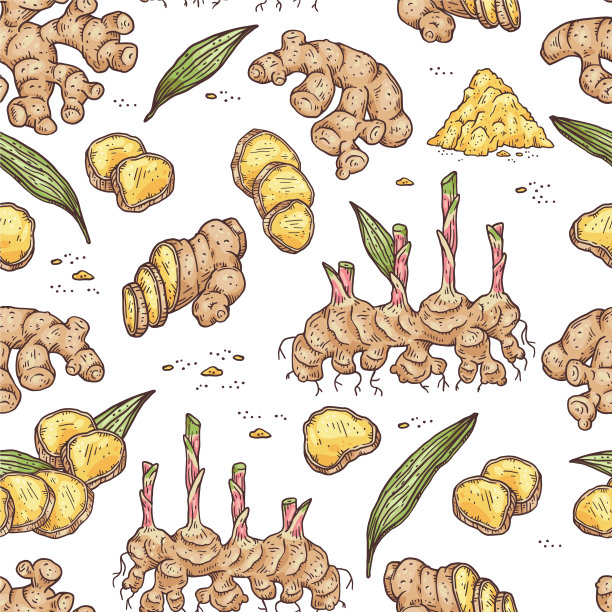 无缝图案与香料姜根片图片下载