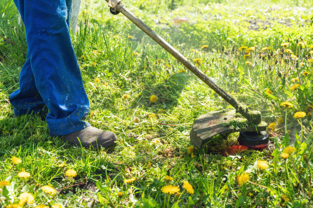 园丁在花园里用修剪机割草图片下载