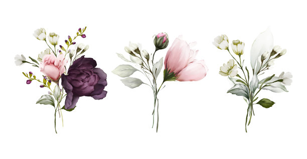 一套水彩画风格的鲜花花束，用于祝贺图片下载