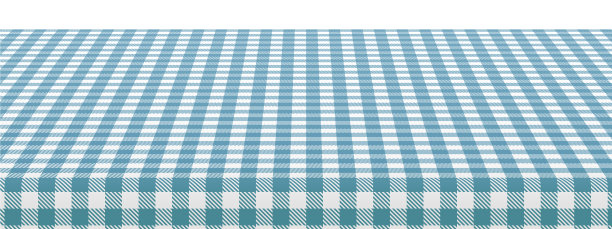 复古的野炊台布蓝白方格布图片下载