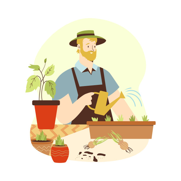 人工浇灌和照料室内绿色盆栽图片下载