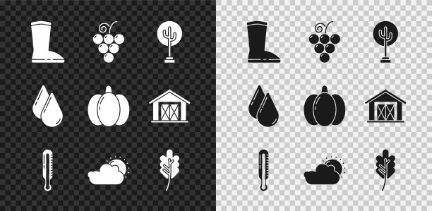 集防水橡胶靴，葡萄果，树，气象温度计，日云天气，树叶，雨滴和南瓜图标。向量图片下载