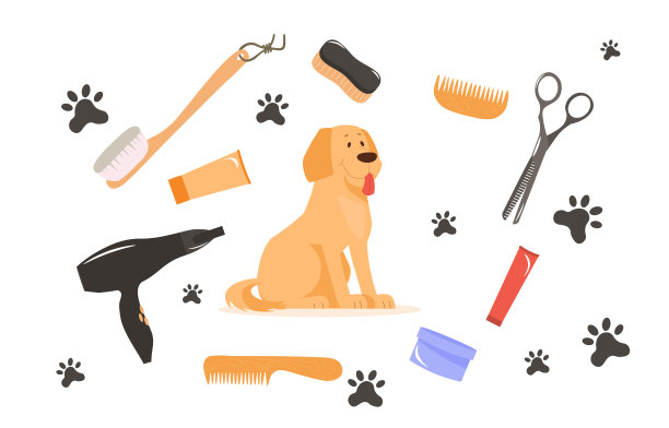 一套美容设备为宠物护理沙龙在白色背景图片下载