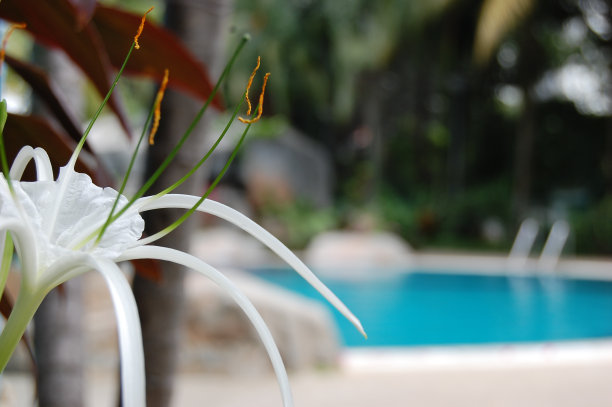 美莉莉图片下载