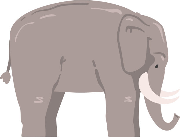 可爱的大象，非洲动物，野生食草动物图片下载