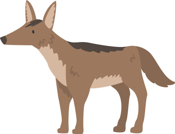 豺狼非洲动物侧观野生捕食者图片下载