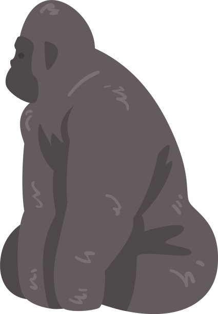 可爱的大猩猩，非洲动物，野生丛林动物图片下载