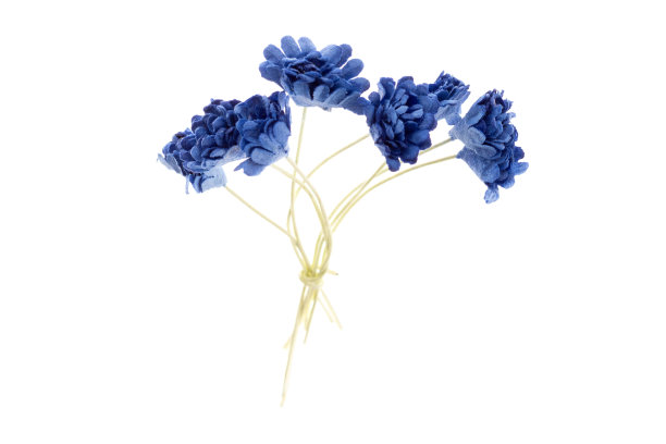 用于剪贴簿的纸花图片下载