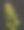 黑色背景上绿色植物的一部分。图片下载
