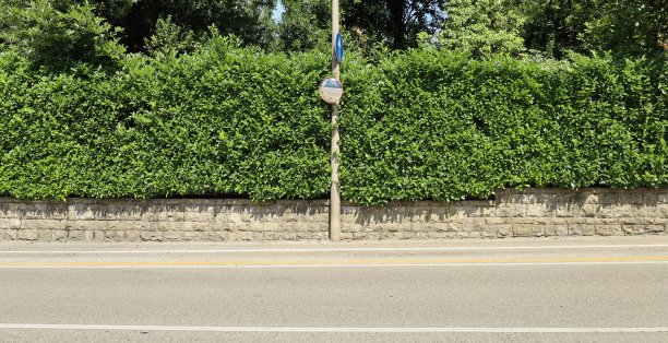房屋围墙由高高的树篱和低矮的石墙组成。水泥柱上的凸面镜，前面是沥青马路。图片下载