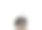图片的狗帽子白色背景图片下载